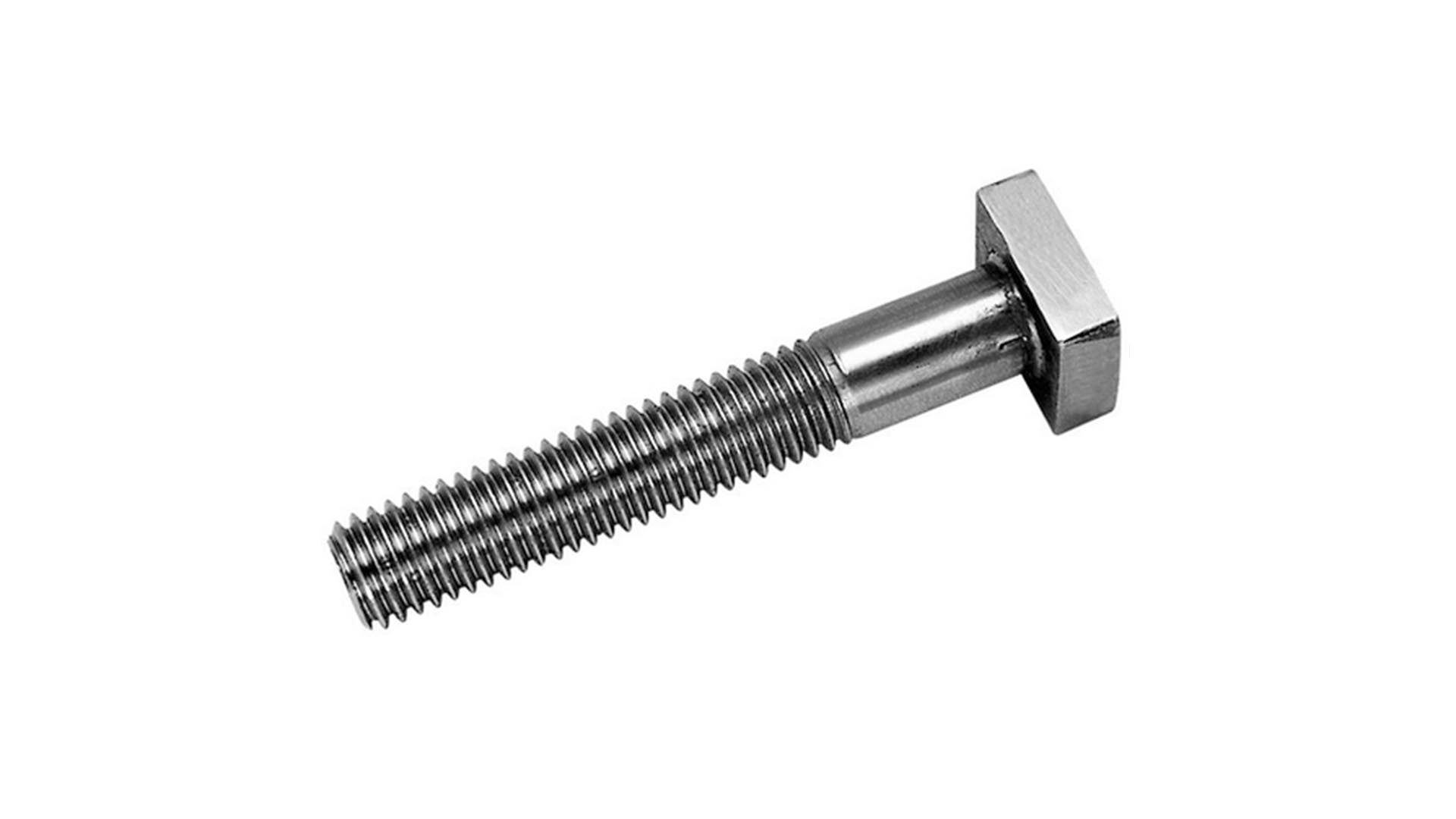 Tbolt Inox Trident Fasteners LLP