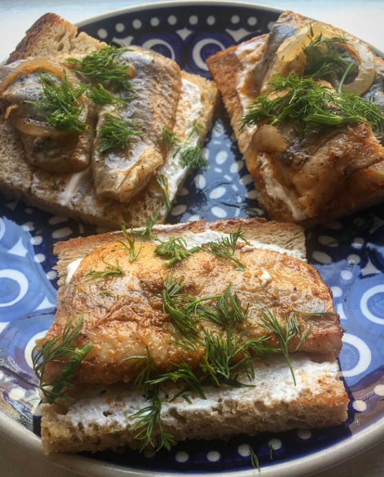 Pickled Herring on Rye Toast Zofia's Kitchen