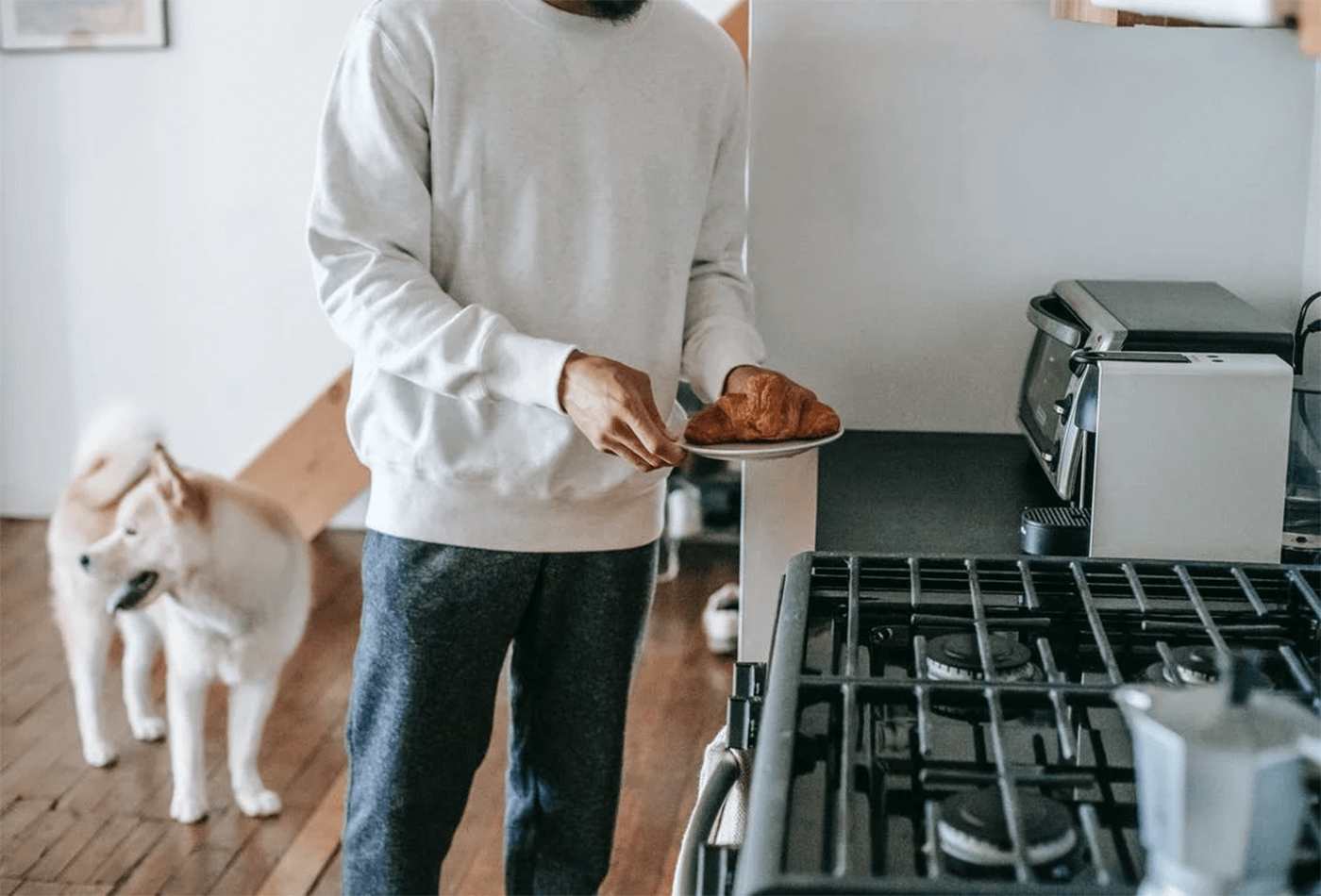 Pet Friendly Kitchen 12 Factors to Consider