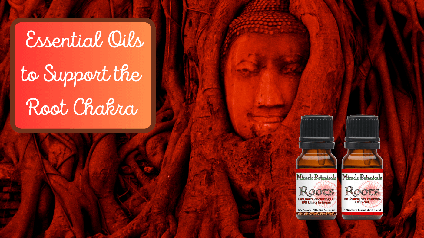 Root Chakra Essential Oils Miracle Botanicals Blog Miracle
