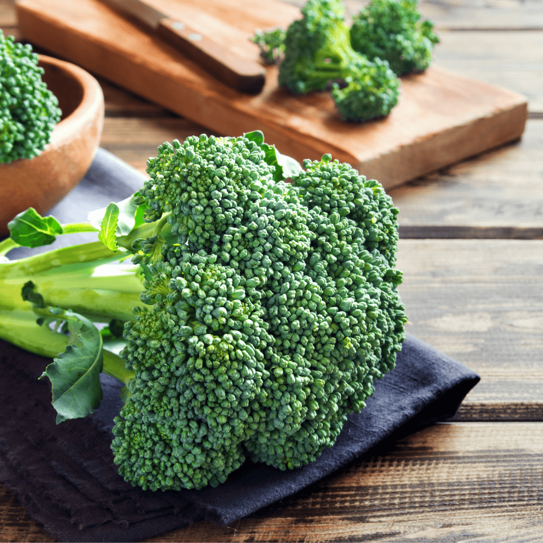 Broccoli Gardeners Basics