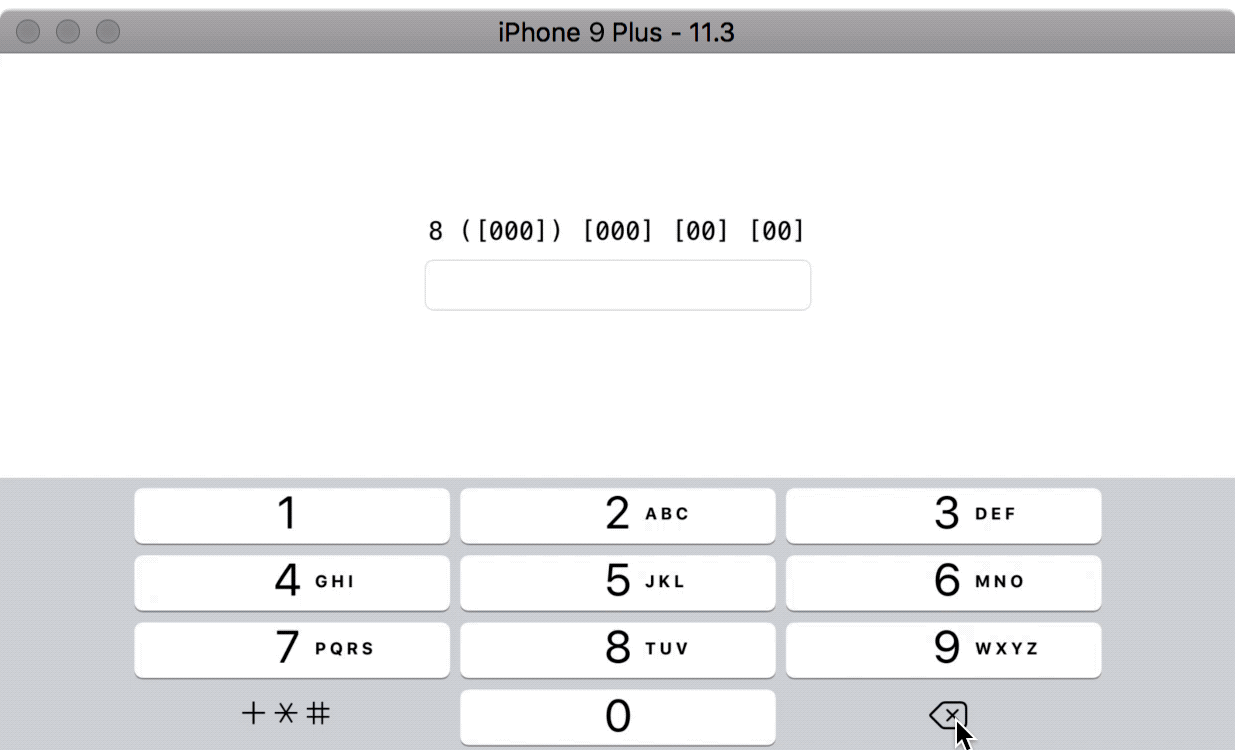 User input masking library repo