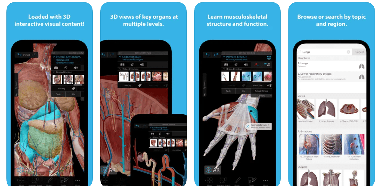 Best Human Anatomy Apps For iPhone And iPad iOS Hacker