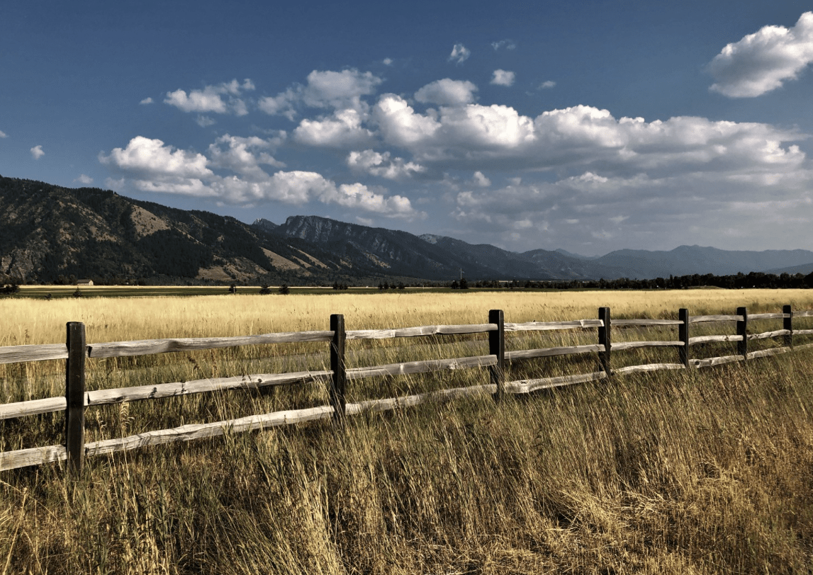 Idaho grazing lease sold to environmental group who outbid rancher