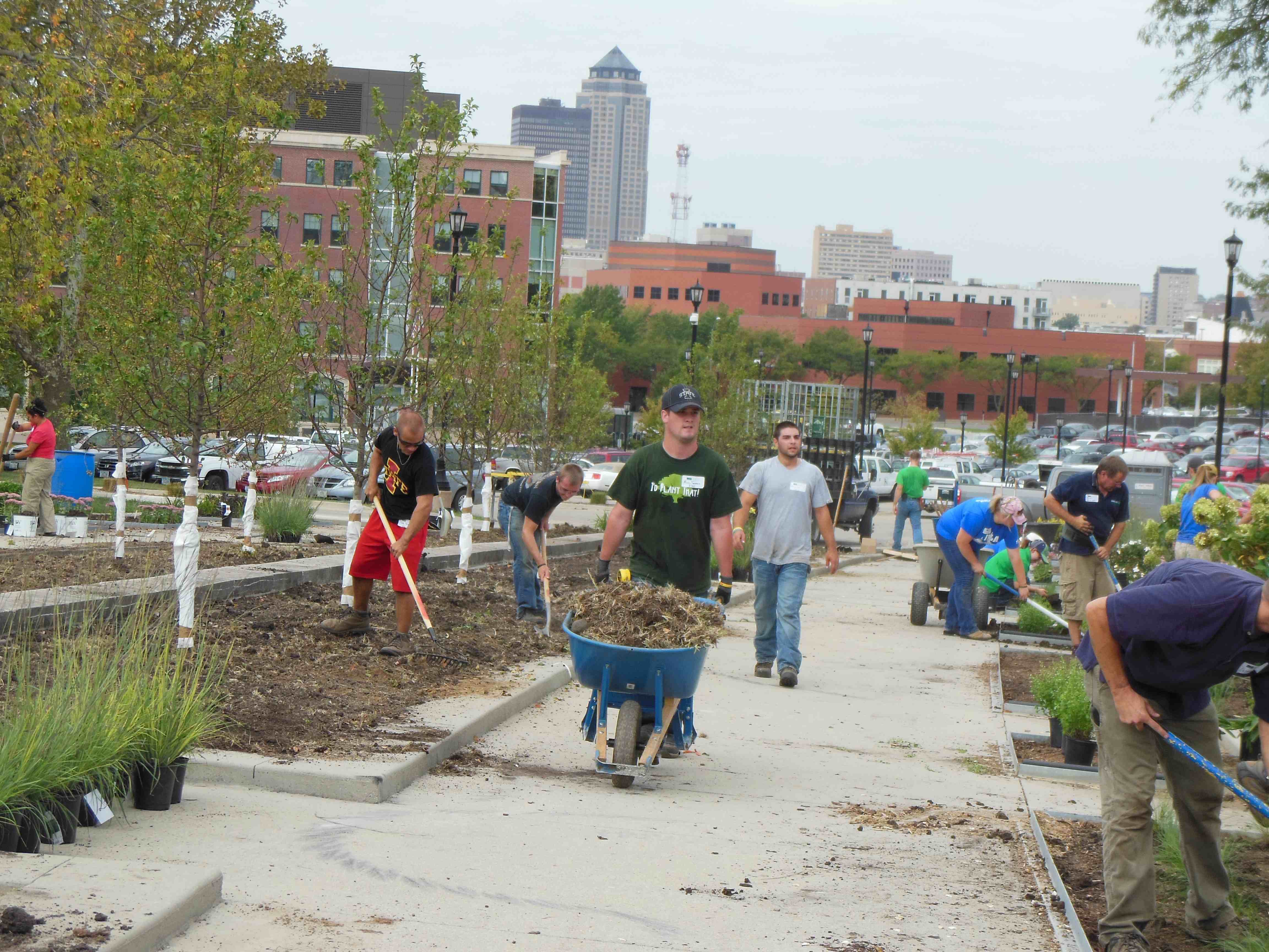 Iowa Nursery & Landscape Association
