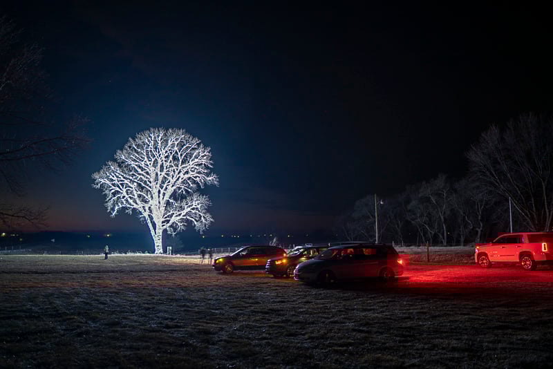 80,000 Christmas lights on one single tree in Hanlontown, Iowa. Iowa