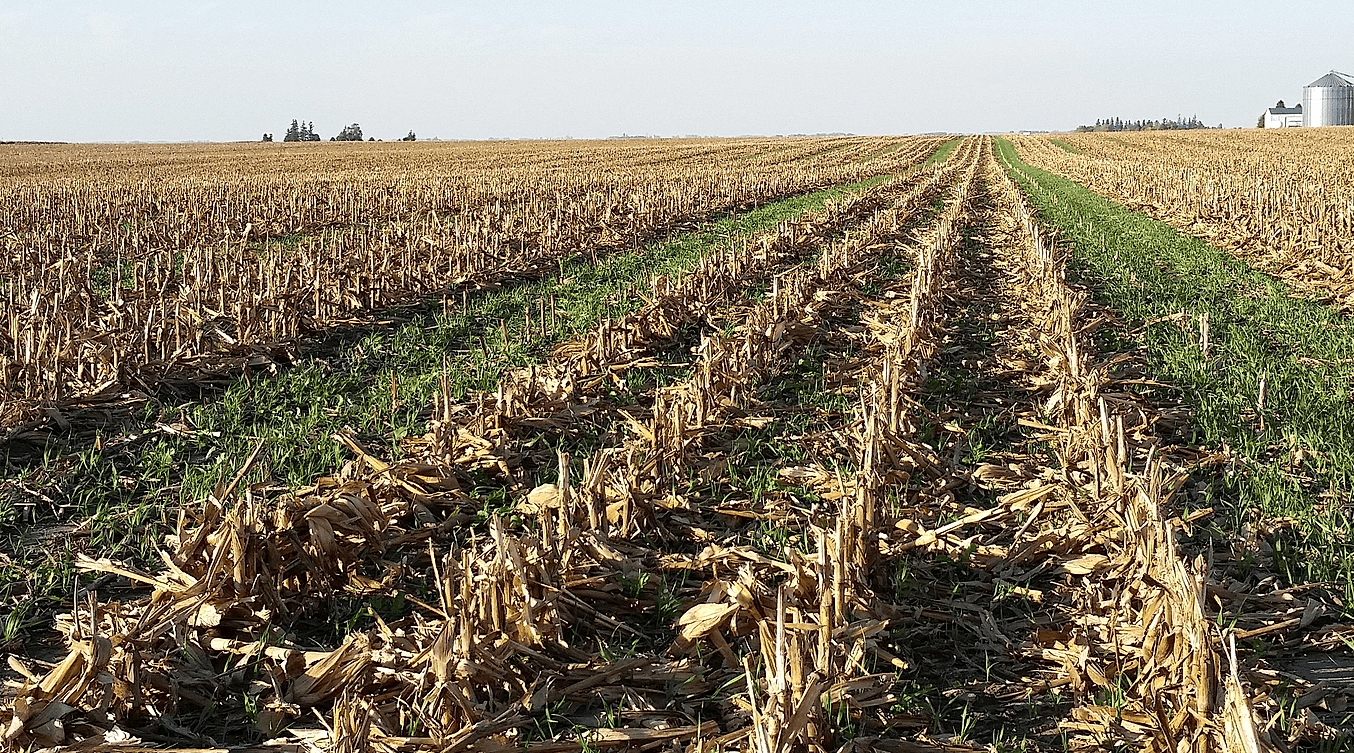 Iowa Seed Corn Growers Eligible for Cost Share Program Iowa Seed