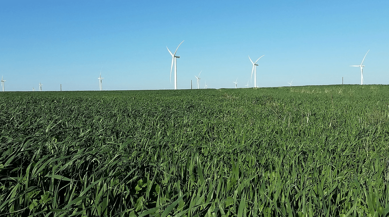 Iowa Seed Corn Growers Eligible for Cost Share Program Iowa Seed