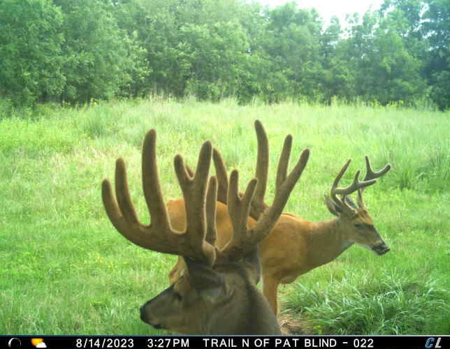 WHICH DO U SHOOT? Iowa Whitetail Forums