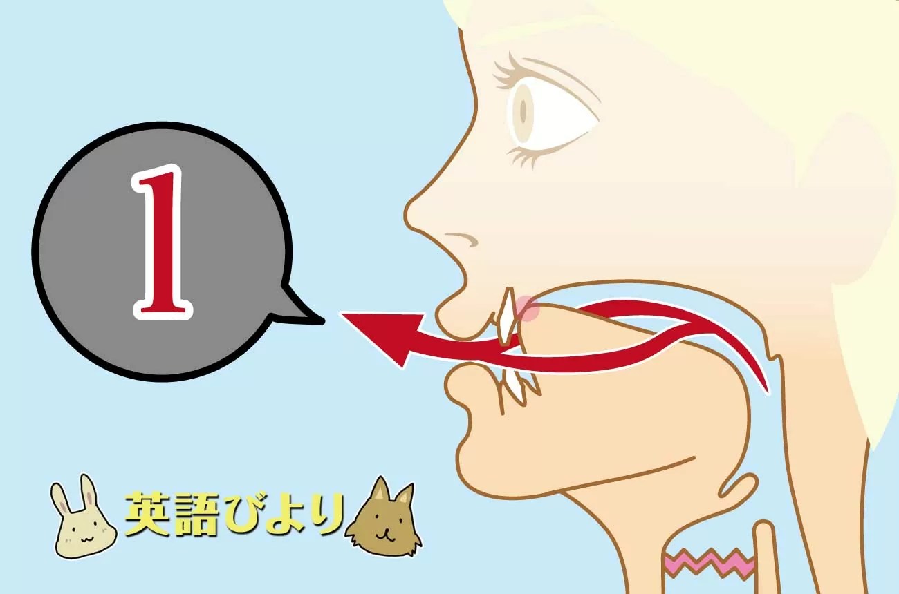 Lの本当の発音とは? これを読めば「絶対」にマスターできます 英語びより
