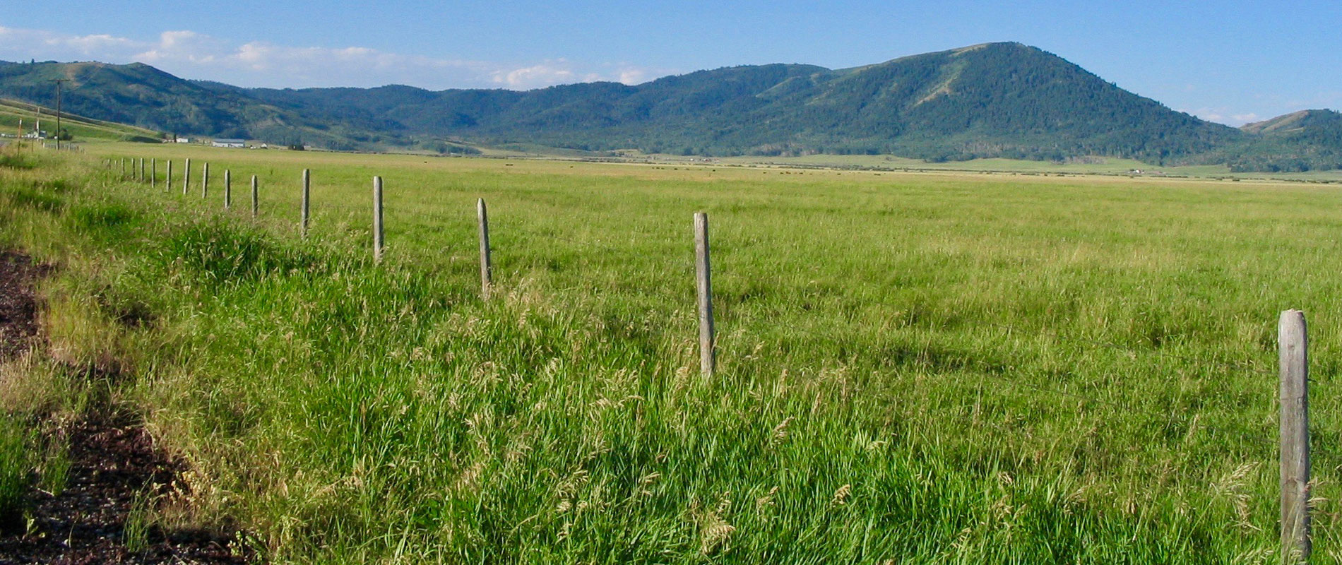 Caribou County Idaho Prosecuting Attorneys Association IPAA