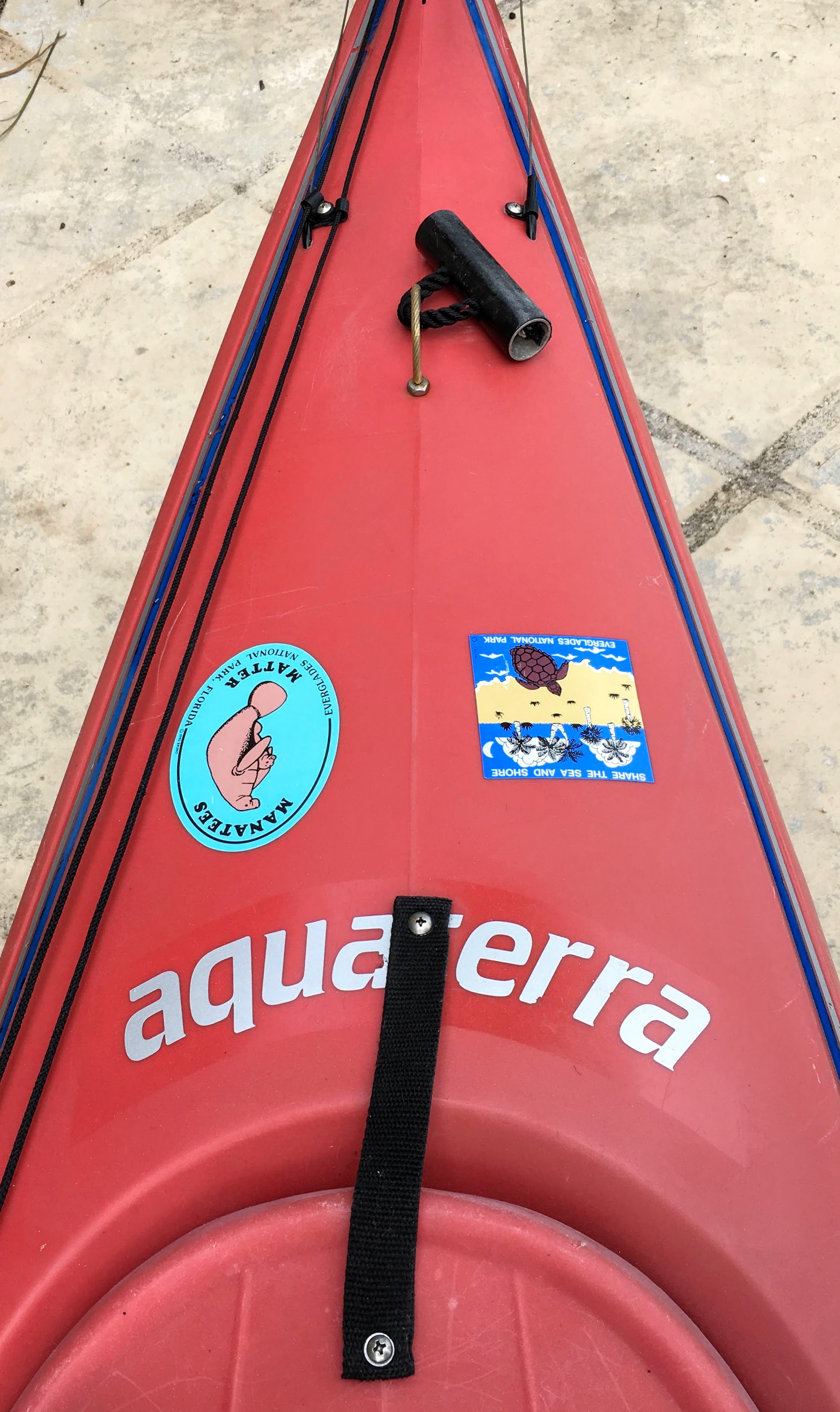 Perception (Aquaterra) Sea Lion (SOLD) I Paddle 4 U