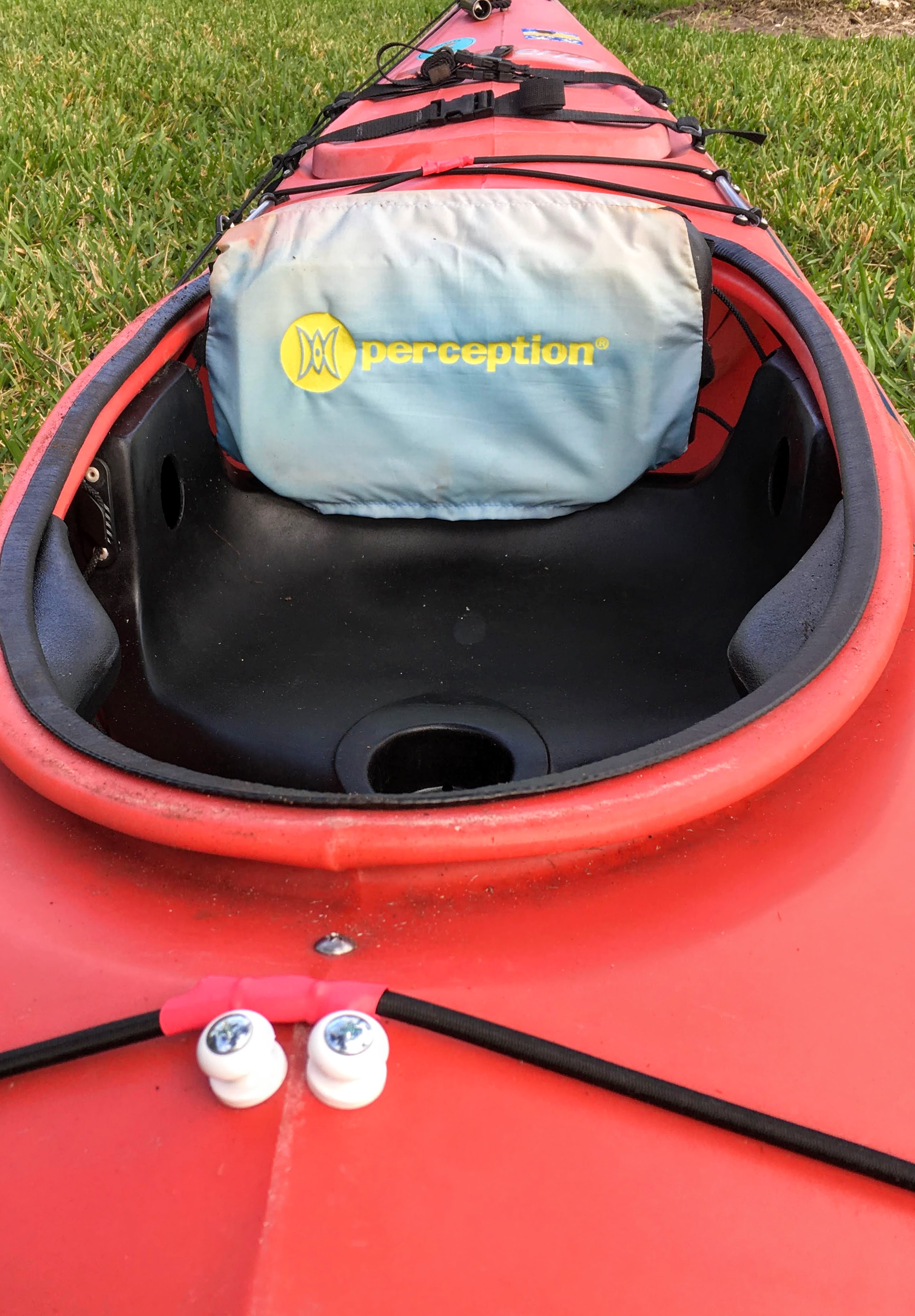 Perception (Aquaterra) Sea Lion (SOLD) I Paddle 4 U