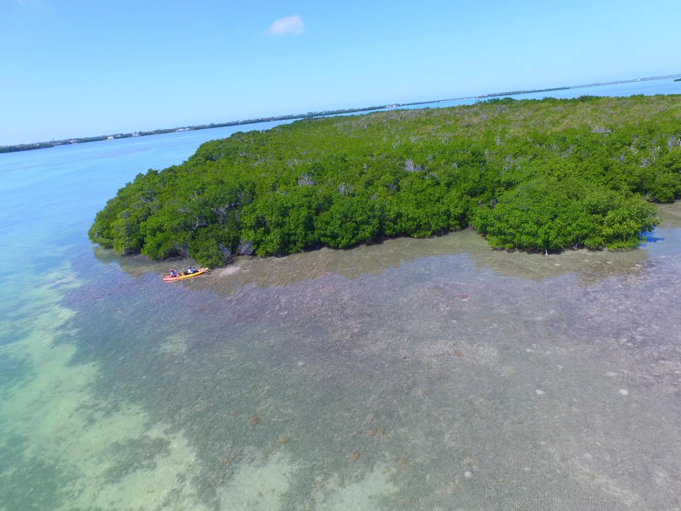 Florida's Bird Key Island Listed for Sale at 31.5M, Causing 'Alarm'