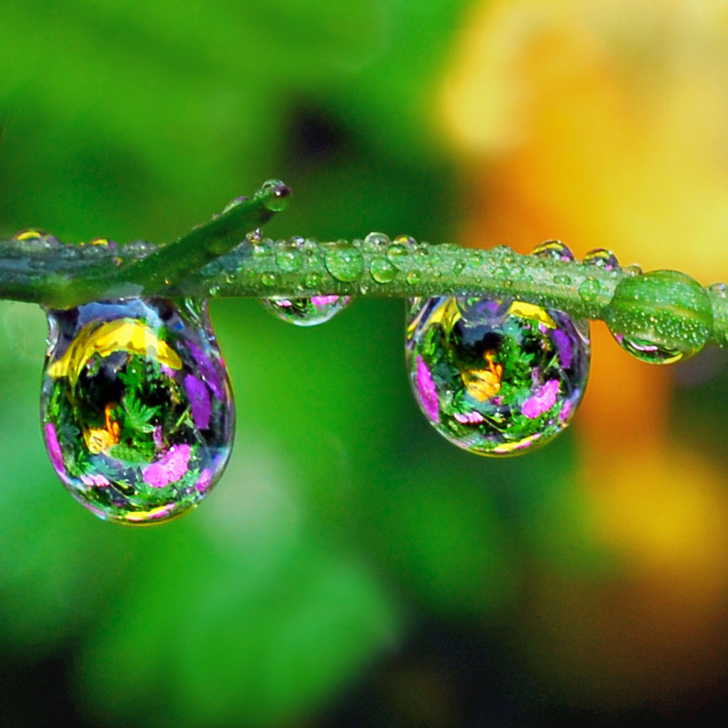 21 Summer iPad Wallpapers