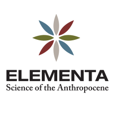 Concessões florestais no Brasil: modelo acertado, resultados tímidos