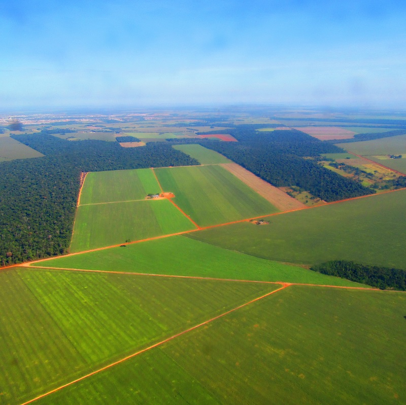 Moratória da soja na Amazônia é renovada sem prazo determinado