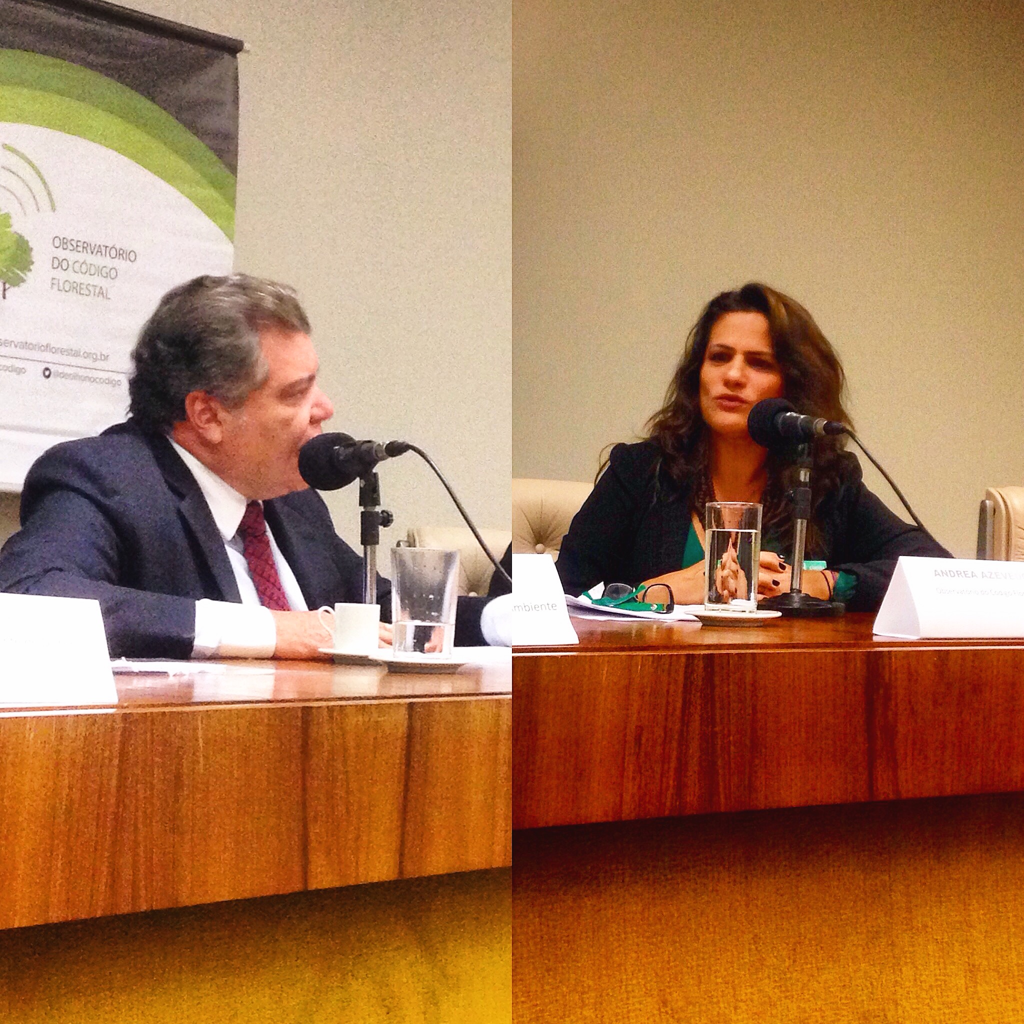 Próximo ano será fundamental para novo Código Florestal