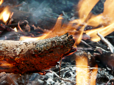 Detalhe de queimada controlada em experimento do Projeto Tanguro (MT). Foto: IPAM