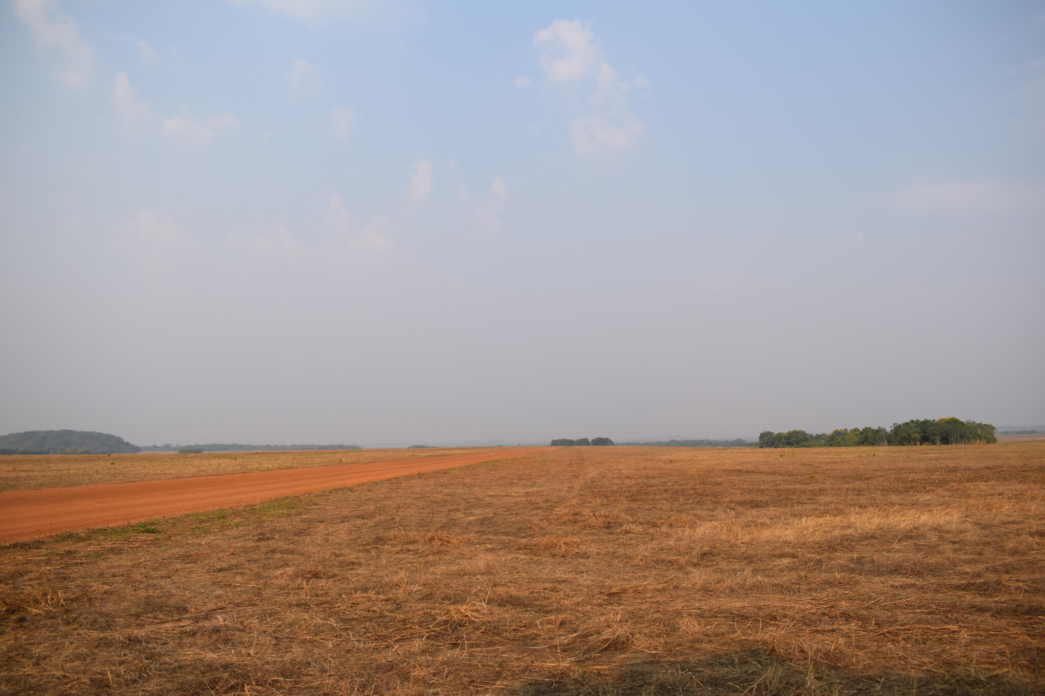 Brasil perdeu 89 milhões de hectares de vegetação natural nos últimos 34 anos