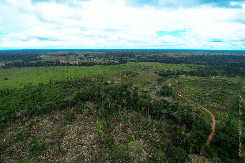 Amazon Deforested Area to be Burned in 2020 May Exceed 4.5 Thousand km2