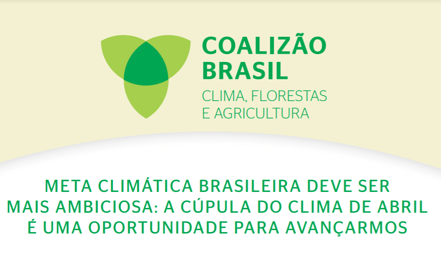 Foto: Divulgação/Coalizão Brasil Clima, Florestas e Agricultura.