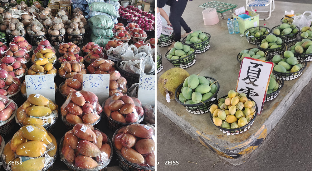 台南玉井青果集貨場芒果批發市場|到台灣最大檨仔市跟農民買芒果