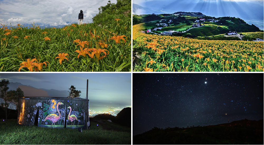 花蓮富里景點|六十石山．可吃可賞可玩的金針花/季節限定的美景