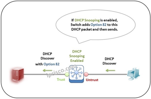 DHCP Option 82 | DHCP Relay Agent Information ⋆ IPCisco