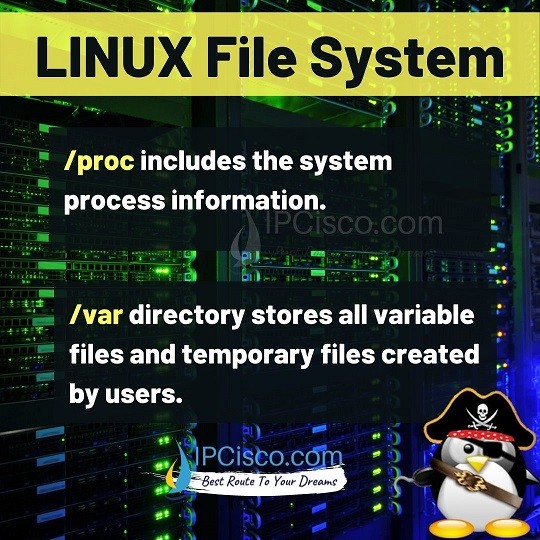 What is Linux File System? 17 Different Linux File Directory! ⋆ IpCisco