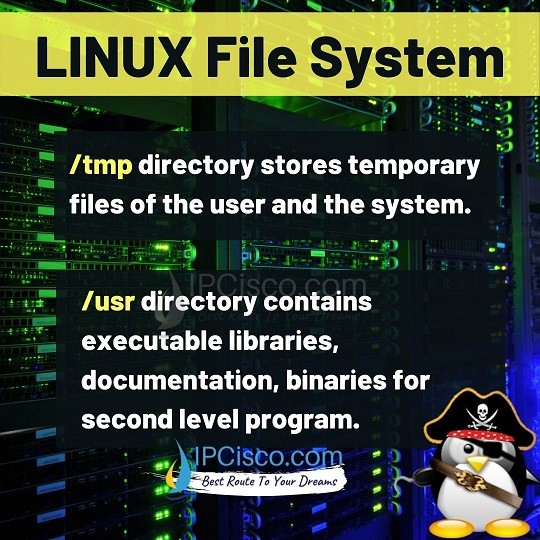 What is Linux File System? 17 Different Linux File Directory! ⋆ IpCisco