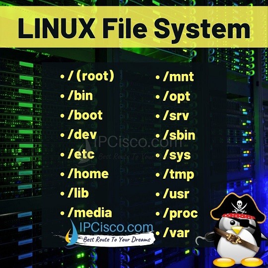 What is Linux File System? 17 Different Linux File Directory! ⋆ IpCisco