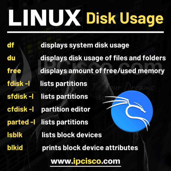 9 Linux Commands For Linux Disk Usage df du free IPCisco