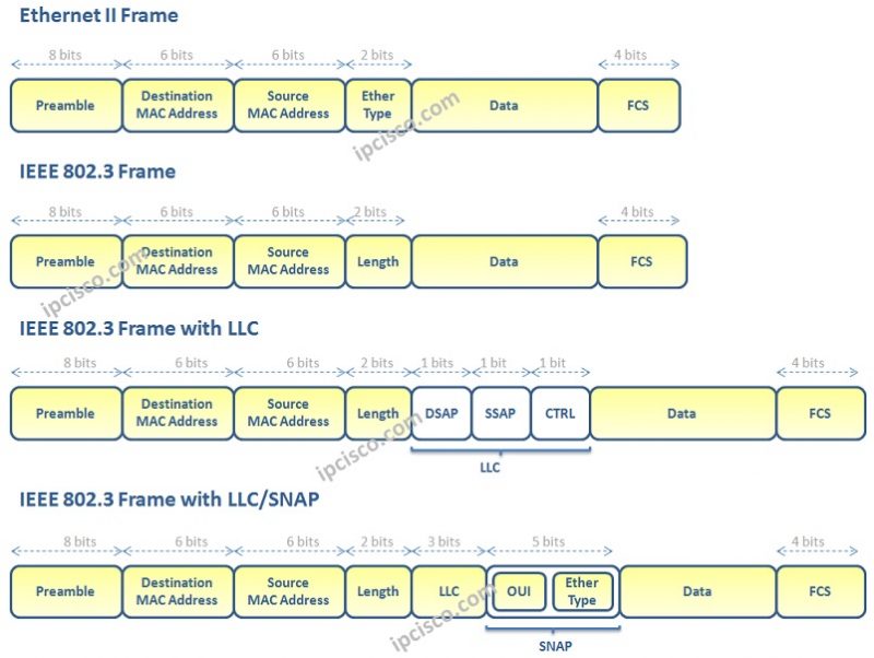 Frame Basics Technology ⋆ IpCisco