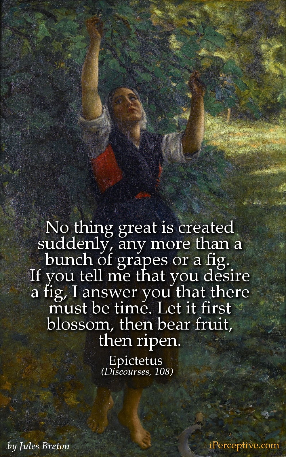 Epictetus Quotes iPerceptive