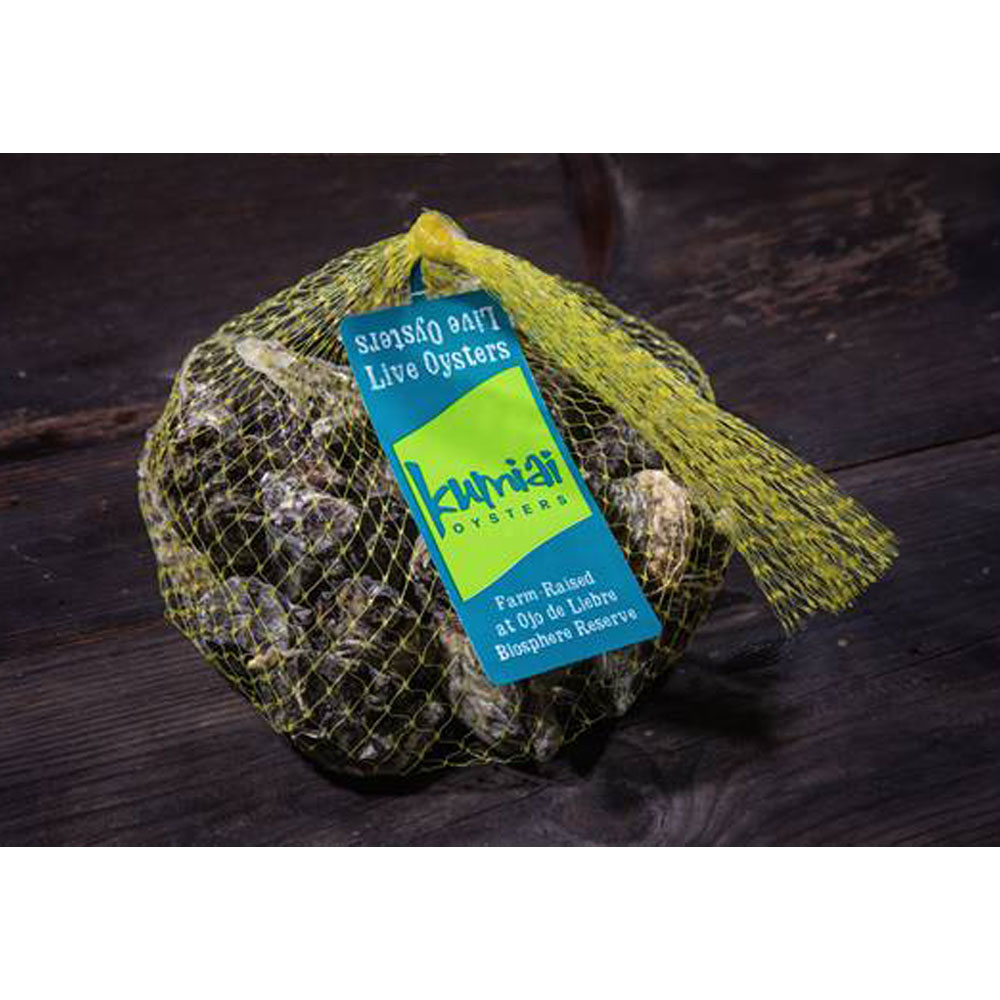 Ostión Kumiai iPescado