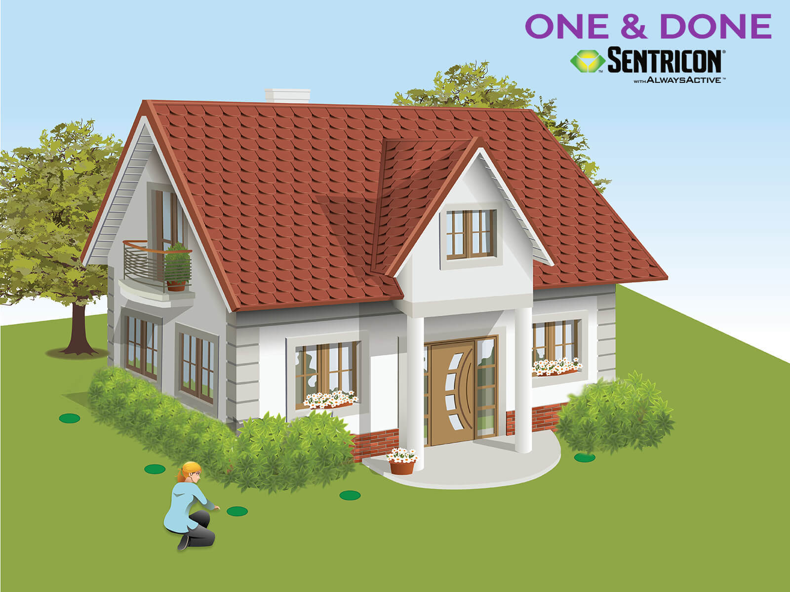 The Products Used In Termite Baiting Systems San Antonio, College