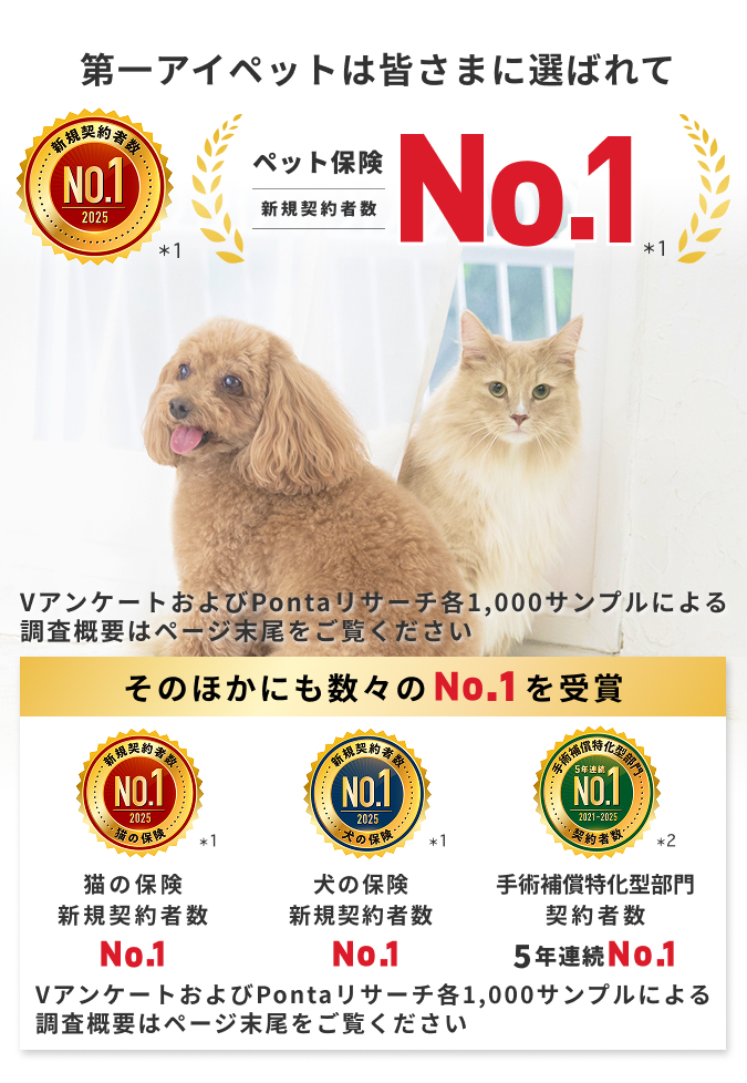 アイペット損害保険株式会社｜アイペットについて