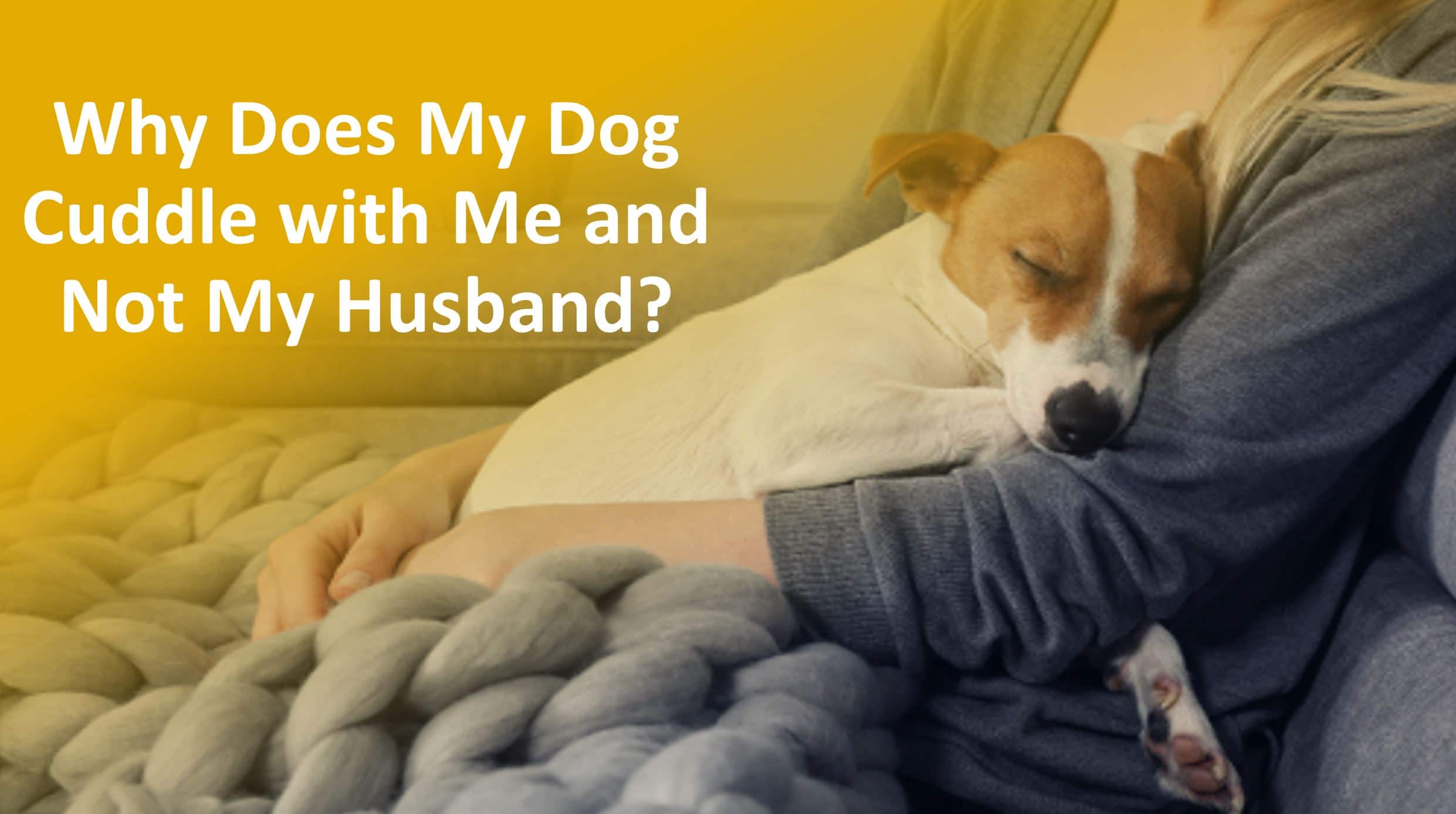 Why Does My Dog Sleep On Me And Not My Husband?