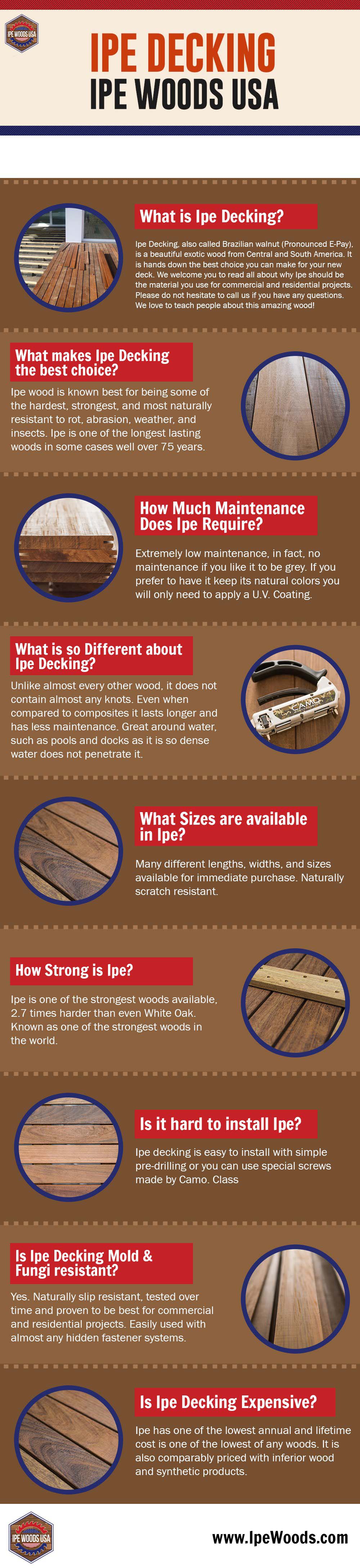 What is Ipe Wood? Things You Need To Know