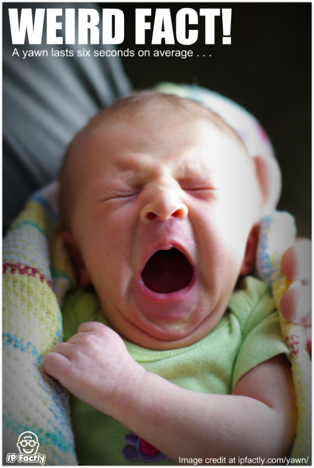 A yawn lasts six seconds on average. Always Learning!