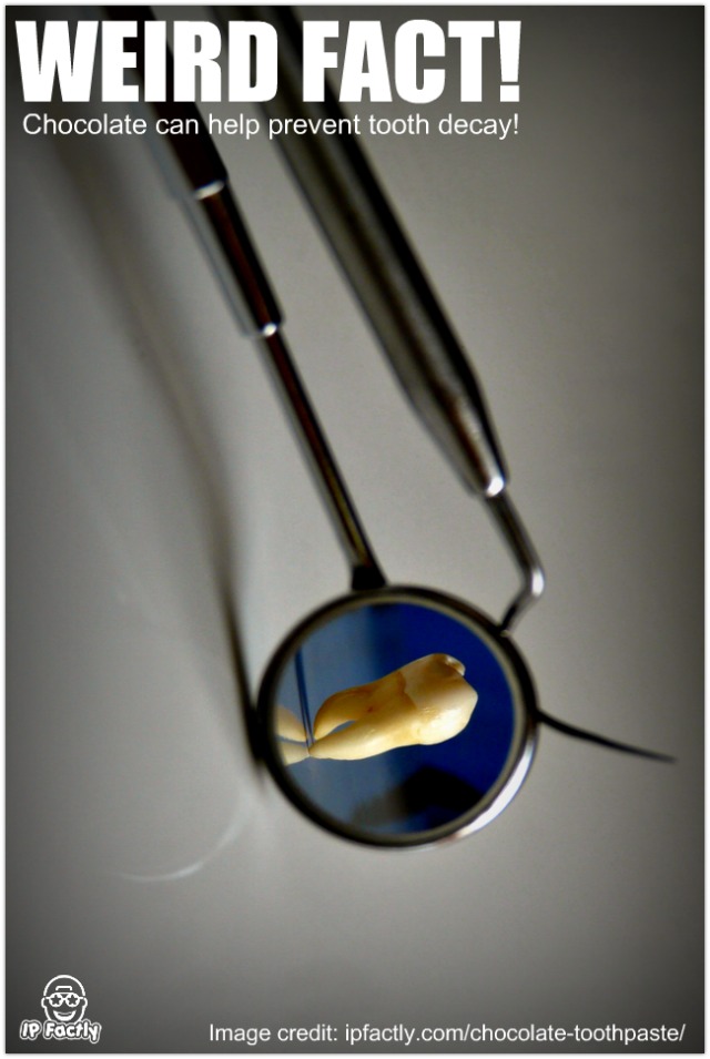 Chocolate can help prevent tooth decay. Always Learning!