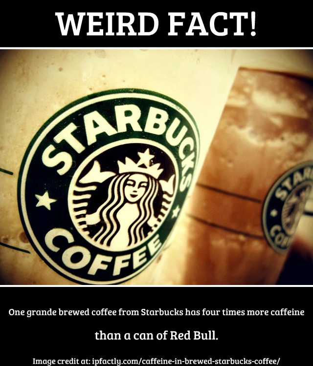 One grande brewed coffee from Starbucks has four times more caffeine