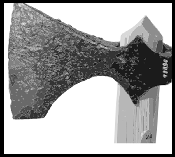 Vikings 101 Facts Always Learning!