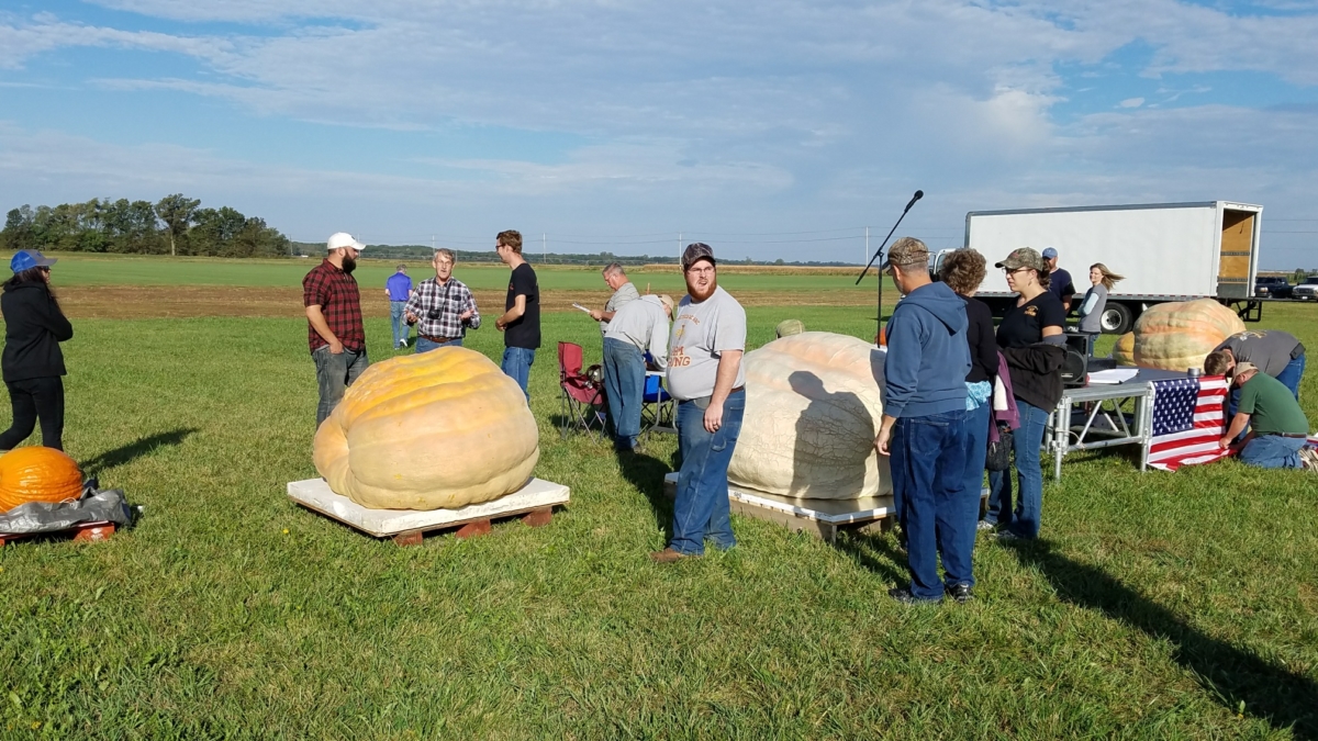 Test Home Page Indiana Pumpkin Growers Association