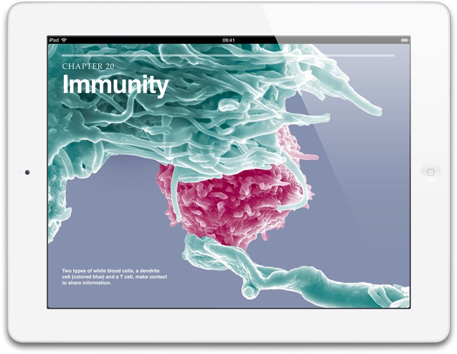 Apple präsentiert iPad (4) mit RetinaDisplay, DualCore A6X Prozessor