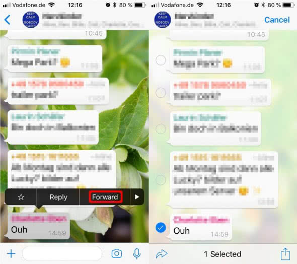 How to Forward a WhatsApp Message