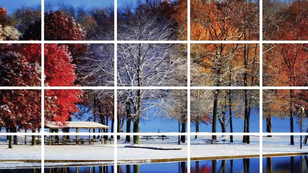 How to Print a Large Image on Multiple Pages on Mac? iPhoneHunt