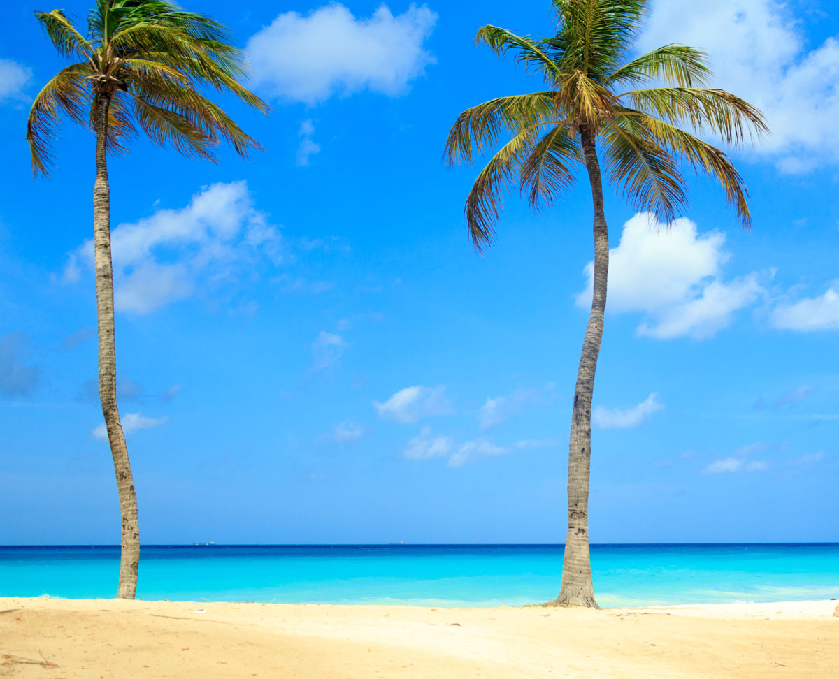 Fondo de pantalla semanal Aruba, Caribe en iPhoneros