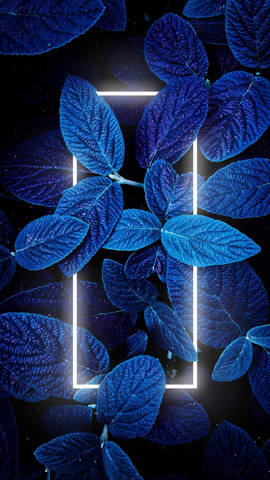 Neon Circle Nature iPhone Wallpaper iPhone Wallpapers